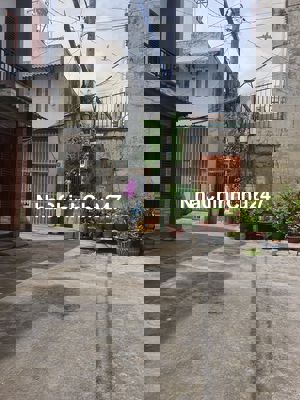 Chinh chu ban nha gap