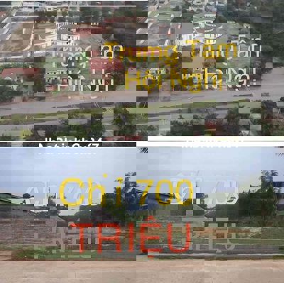 Chính Chủ Bán Nhanh 447 m2 Đất Tân Phú Tân Sơn Phú Thọ