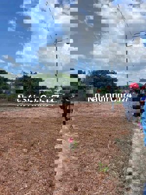 Chính chủ cần bán lô đất tân lợi , đồng nai 📐 253m2 có 100m thổ cư -Kh