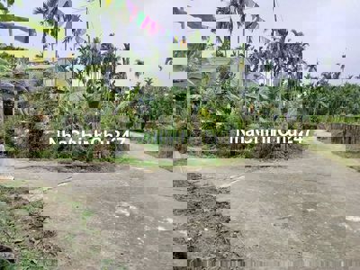 Chính chủ bán đất full thổ cư 154m2 tại khu du lịch Trà Nhiêu Xanh