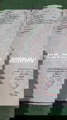 Chính chủ bán 3002.3m2 đất mặt tiền xã An Bình, Châu Thành, Tây Ninh