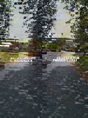 Chính chủ cần bán nhanh lô đất sổ riêg 500m2 đẹp vuông sắp tới đổ nhựa