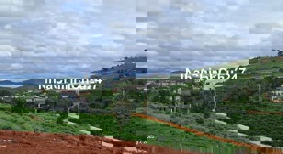 Chính chủ bán đất Mê Linh Lâm Hà 250m2 sẵn thổ cư 790 triệu