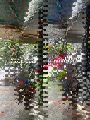 Bán nhà chính chủ mặt tiền đường Cao Sơn Pháo