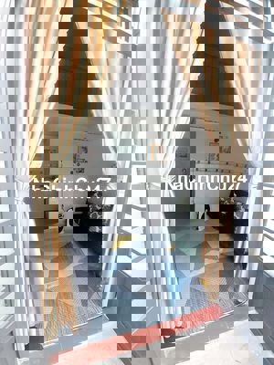 Bán nhà TTH 29, chính chủ, sổ hồng