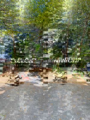 🆘 CHÍNH CHỦ GỬI BÁN ĐẤT 5 x 19m ĐƯỜNG DƯƠNG CÔNG KHI, XÃ TÂN THỚI NHÌ