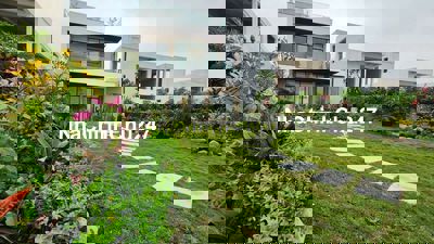 CHÍNH CHỦ BÁN GẤP BIỆT THỰ IVORY