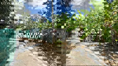 Chính chủ bán đất Bình Chánh có sổ hồng