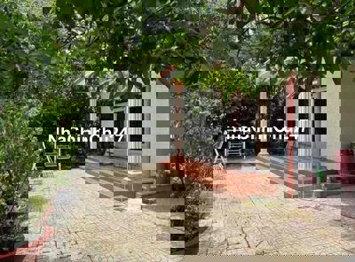 Đất sẵn vườn - Diện tích rộng - Giá mềm - Sổ hồng chính chủ