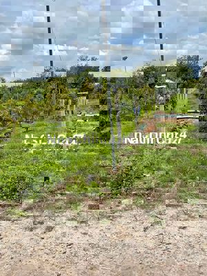 Bán đất chính chủ 1000m2 lai uyên bầu bàng