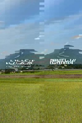 Đất sào chính chủ