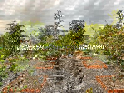 Đất chính chủ, SHR (DT 7x50m) giá 900tr.Cách Thị Ủy Trảng Bàng 300m