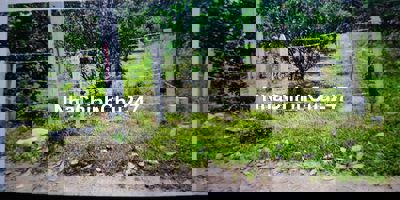 Chính chủ cần bán đất thổ cư sẵn sổ