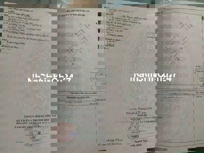 Chủ cần bán gấp lô đất KDC LAVENDER CITY .