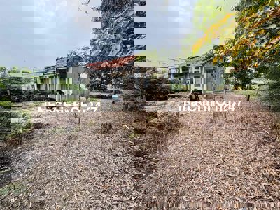 Chính Chủ - Bán Gấp đất 626m2 SHR Full thổ lớn có nhà C4