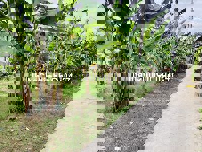 Bán đất chỉ 490 triệu đất có thổ cư diện tích 150m2 đất chính chủ