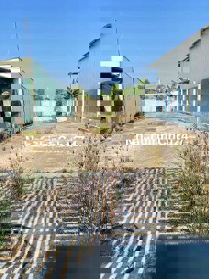 💼 BÁN GẤP LÔ ĐẤT 226,3M² – MẶT TIỀN ĐƯỜNG BASA, PHƯỚC HIỆP – CHÍNH CHỦ