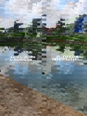 Bán đất chính chủ Mai Hiên Đông Anh sổ đỏ hơn 80m