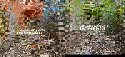 Cần Bán Đất 9 Chủ Không Qua Trung Giang