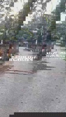 Chính Chủ Bán 7000m2 Đất Thổ Cư