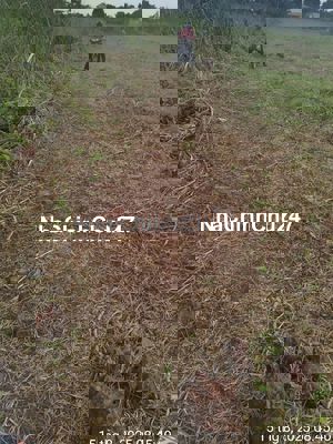 Chính chủ cần bán