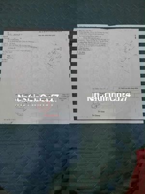 Chính chủ cần bán gấp đất Trường Đông  tc120m2 hém 17 cách nhựa  200m