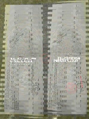 Chủ cần tiền nhờ bán gấp đất