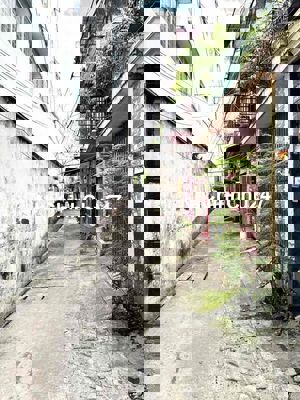 Nhà Trường Chinh Hẻm xe bé 3