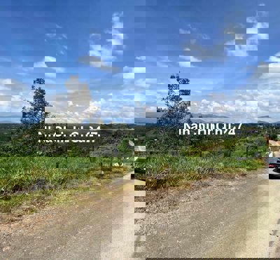 (Chính chủ) đất view đồi săn mây tại Bảo Lộc -có thổ cư và sổ hồng đầy