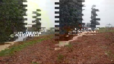 CHÍNH CHỦ BÁN ĐẤT XÃ YÊN BÀI-BA VÌ, 1,7tr/m2, GẦN SUỐI.