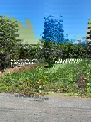 đất mặt tiền vuông đẹp 8x28,4 có thổ cư chính chủ