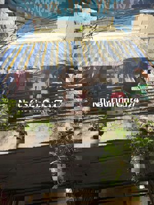 3,2 x 61 trệt 2 lầu nhà bán chính chủ