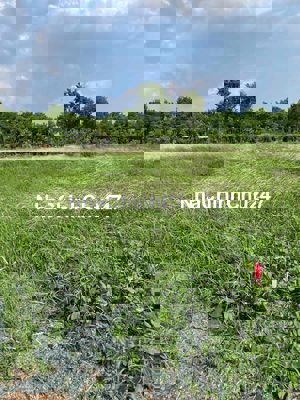 cần bán đất thổ cư chính chủ