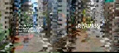 bbán lô đất thổ cư-bà điểm-chính chủ