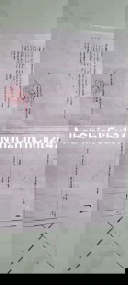 Chính chủ .Cần bán gấp . 520tr thuộc Cần Giuộc Long An cũ