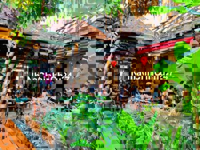 (Chính chủ) Đất 1000m² gần Hà Huy Giáp – giá rẻ, vị trí đẹp