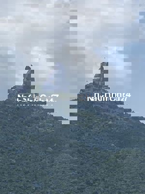 Chính chủ gửi bán lô đất đường mẹ thứ