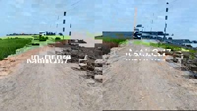 Chính Chủ Bấn Đất Cần Đước Giá Cực Rẻ