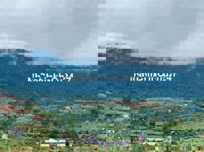 Chủ đất gửi lô đất ven Đà Lạt giá chỉ 350tr