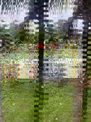 Chính chủ bán lỗ 530m đất vườn Củ Chi giá 700tr shr