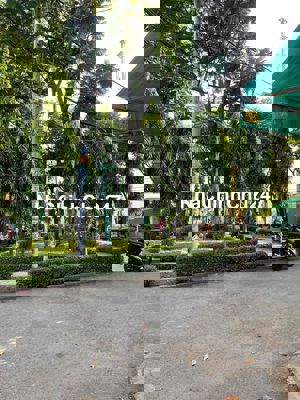 CHỦ BÁN NHÀ LUỸ BÁN BÍCH XE HƠI ĐỖ CỬA-SẴN NGUỒN THU 8TR