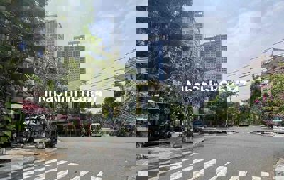 Chính chủ bán đất biệt thự đường Trần Đình Long sát đường Thăng Long