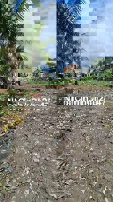 Kẹt tiền cần bán gấp 1260m2 đất chính chủ Bình Chánh gần chợ Hưng Long