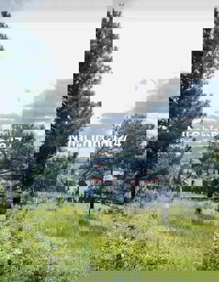 Chính Chủ Bán Lỗ Lô Góc 2 Mặt Tiền Đường Lý Nam Đế P8 Đà Lạt Giá 735TR