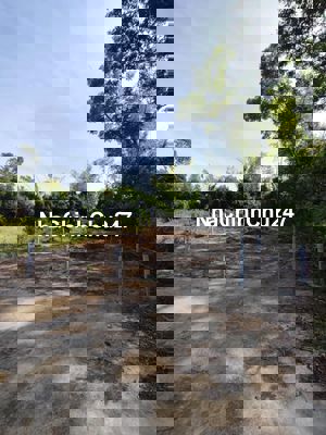 Đất ở lâu dài 269m2. Chính chủ, phù hợp xây nhà ở lâu dài hoặc đầu tư