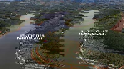 chính chủ cần bán lô đất đồi ở dak tô kontum