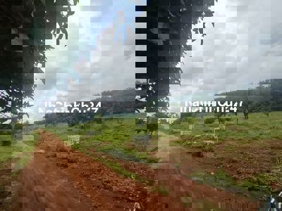 Tôi chính chủ cần bán đất mặt hồ khu nghỉ dưỡng làm homestay đẹp.