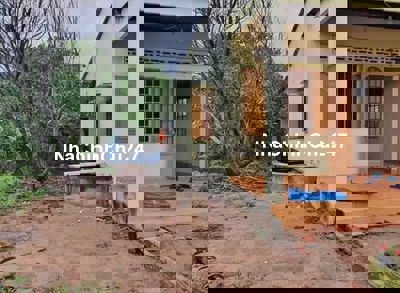 Chủ ra đi căn nhà vườn 2500m2 giá ngộp 550tr