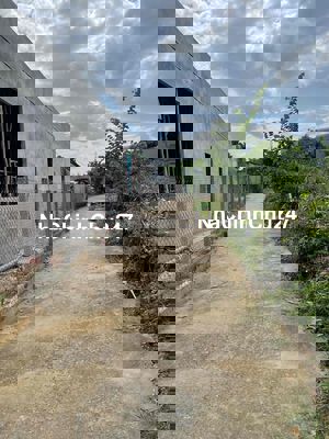 chính chủ cần bán đất la thọ điện hoà