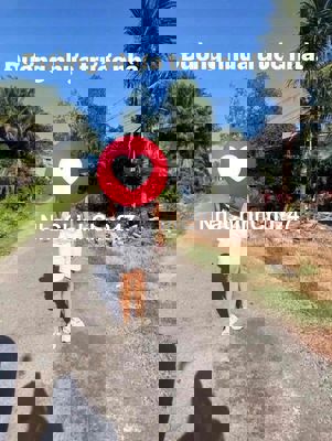 CHÍNH CHỦ CẦN BÁN GẤP